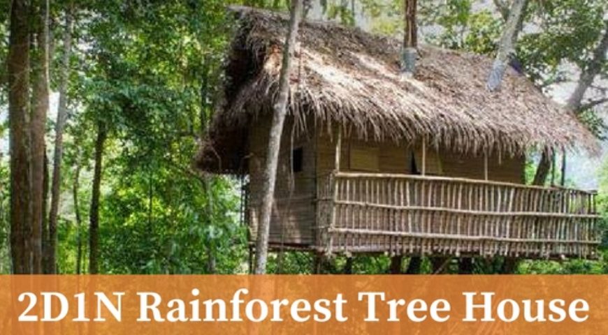 MY20190518-2D1N Rainforest Tree House @ Pulai