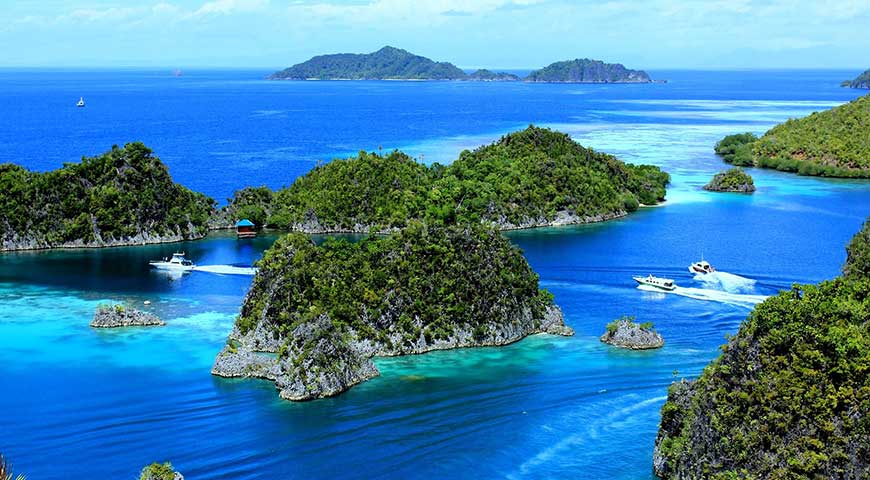 5D4N RAJA AMPAT ON BUDGET