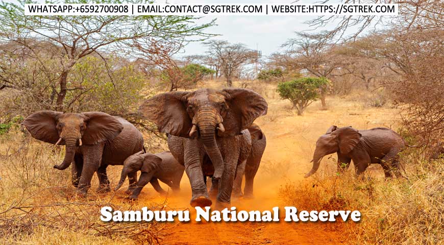 10D9N-Samburu-Tsavo-Amboseli National Reserve | Safari | Photography