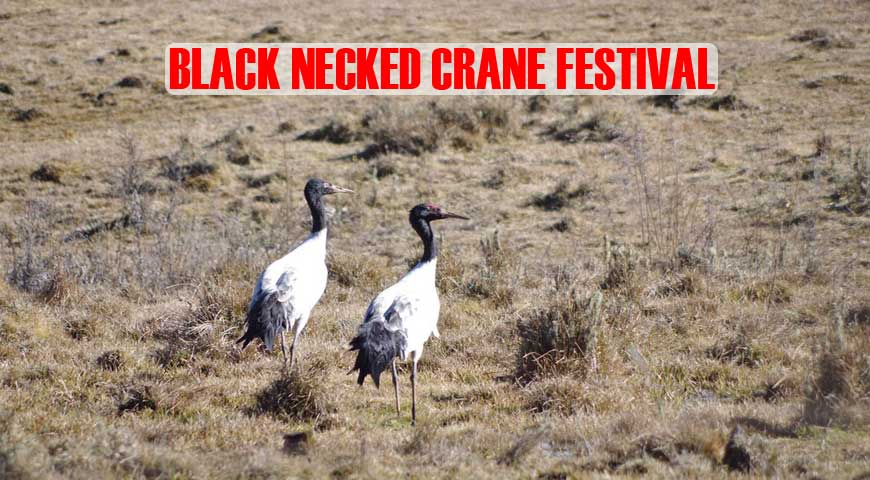 7D6N BLACK NECKED CRANE FESTIVAL