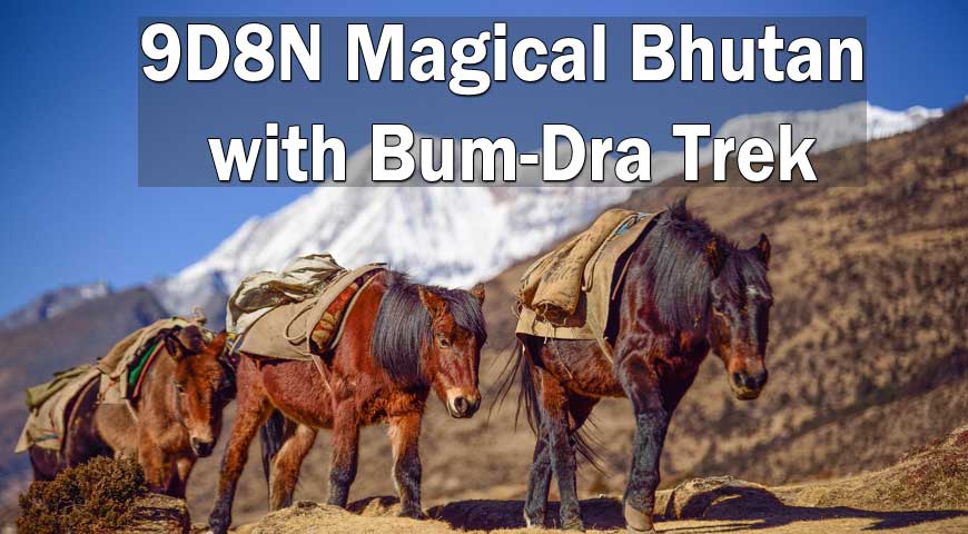 9D8N Magical Bhutan with Bum-Dra Trek 2020