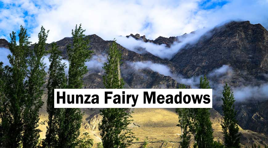 Pakistan: Colors of Hunza Blossom Tour 2020