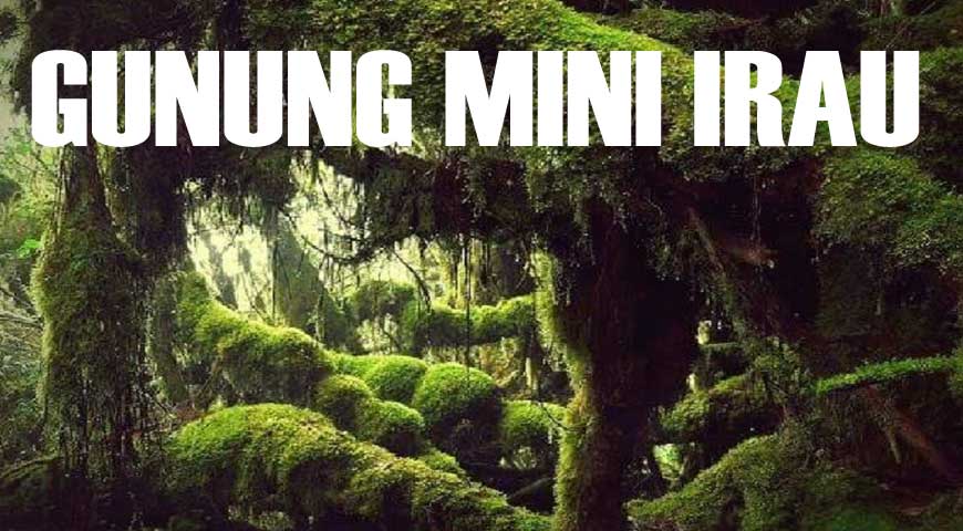 Gunung Mini Irau (11April2020)