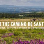 Walk the Camino de Santiago 2027
