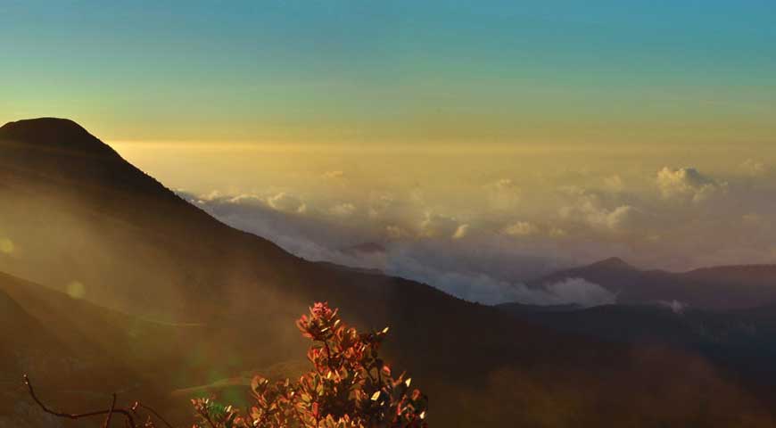 4D4N Gunung Gede-Pangrango(06May2020)