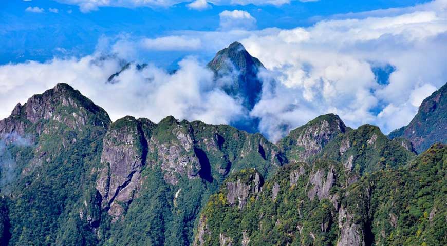 FANSIPAN-The Highest Of Indochina(2020)