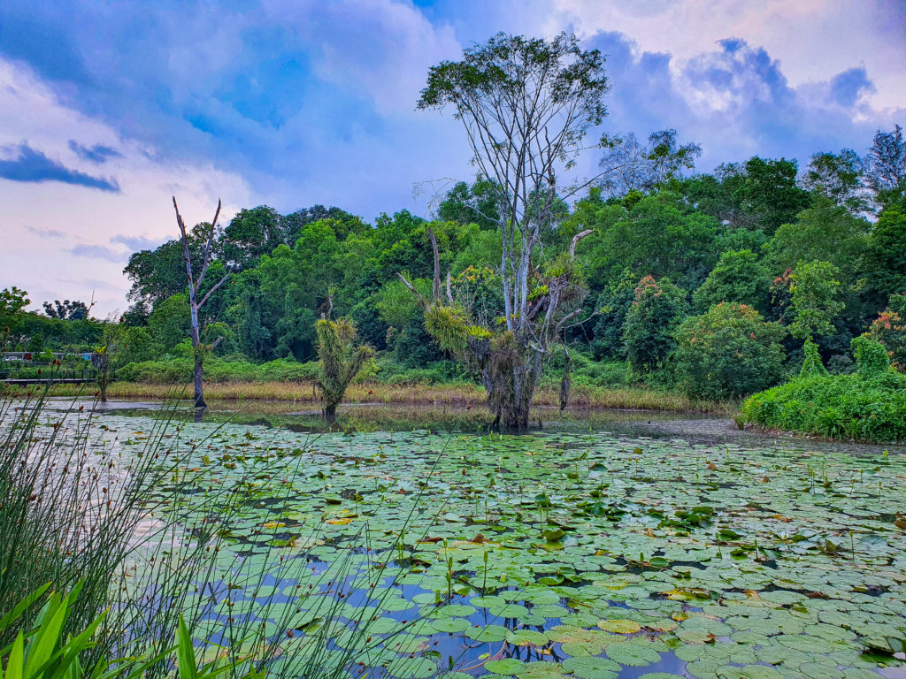 Explore Hampstead Wetlands Park SGTREK
