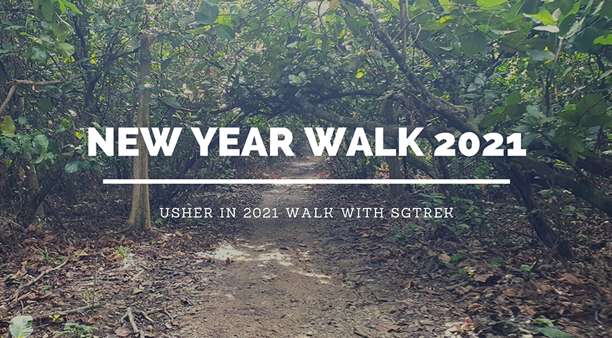 New Year Walk 2021