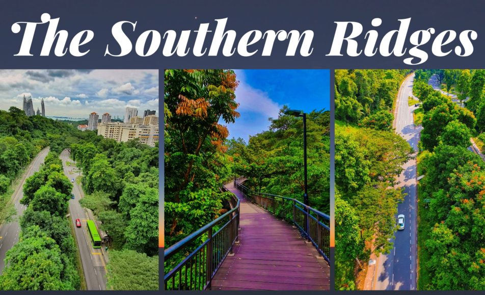 The Southern Ridges-29Jan2022