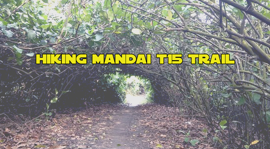 Hiking Mandai T15 Trail-Nov2021