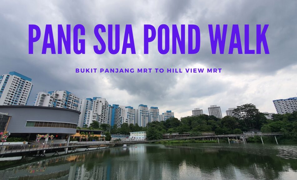 Pang Sua Pond Walk-12Feb2022