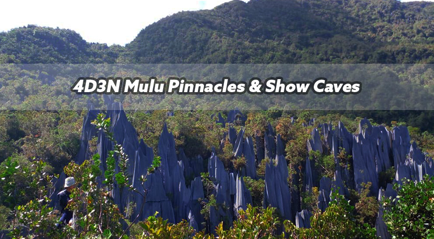 4D3N Mulu Pinnacles & Show Caves