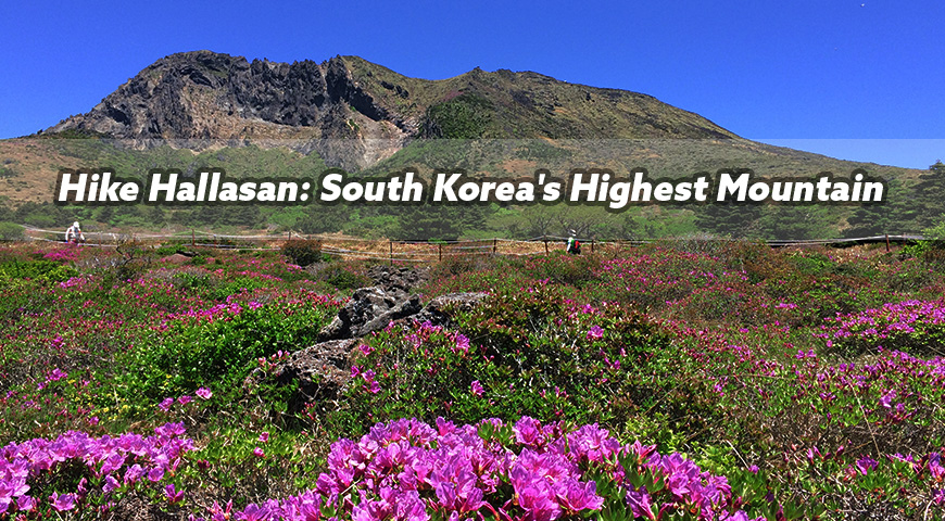 Scaling South Koreas Tallest Peak: Hiking Hallasan