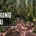 Gunung Irau (Mossy Forest) Hike (14-15Feb2026)