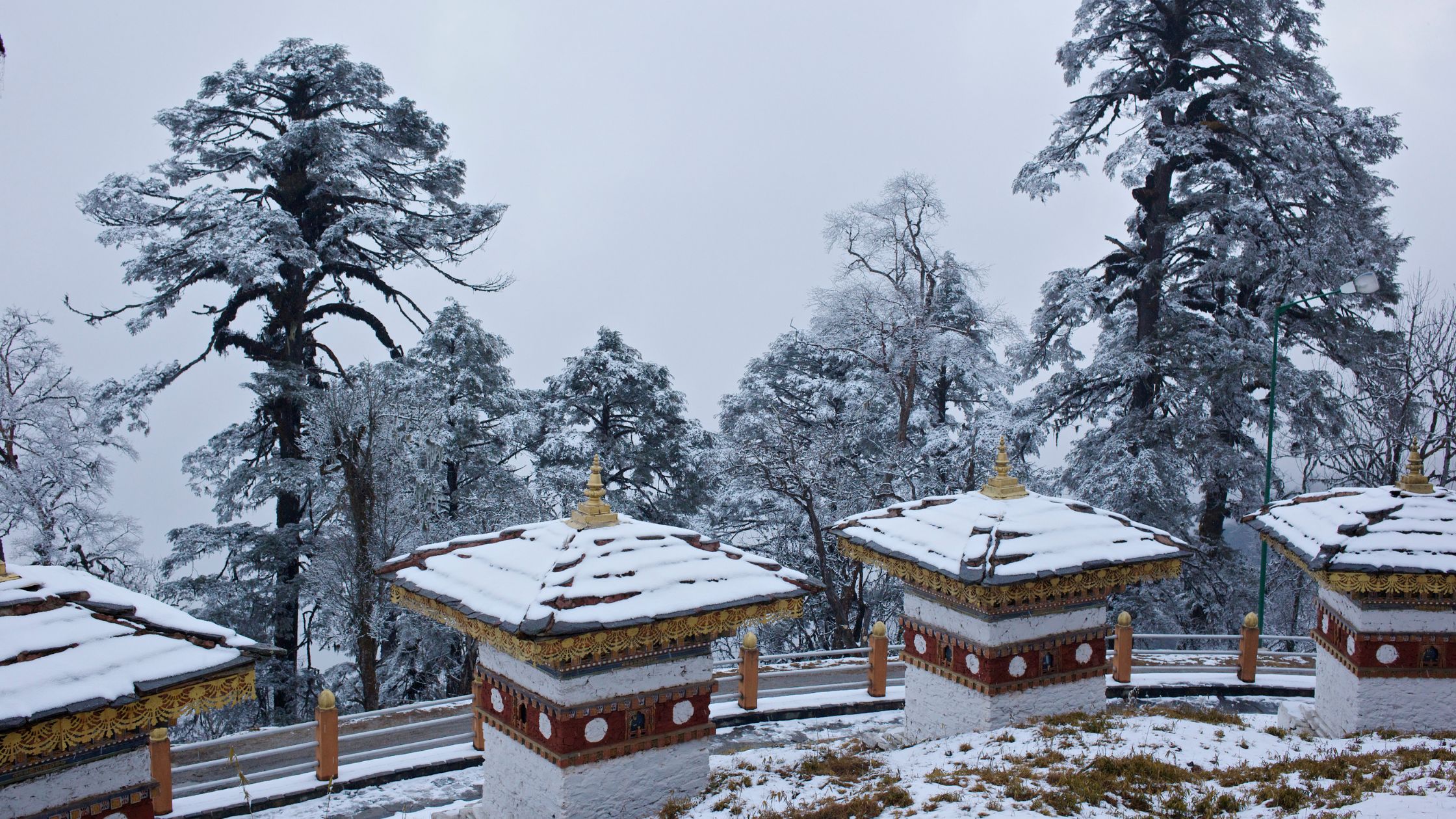 Christmas & New Year Bhutan 2025 | SGTREK