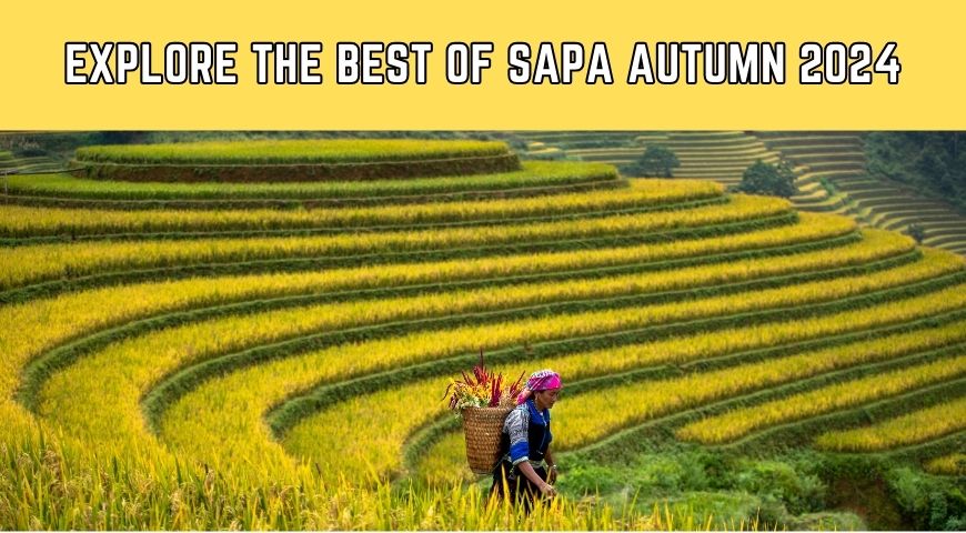 Explore The Best Of Sapa Autumn 2024
