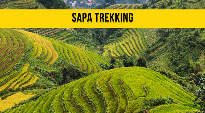 4D3N Sapa Adventures 2025