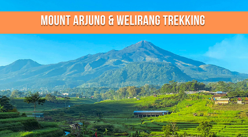 4D3N Mount Arjuno & Welirang Trekking Adventure 2025