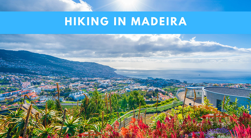 Hiking in Madeira 2026