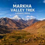 Markha Valley Trek 2026