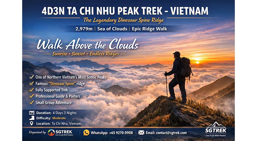4D3N Ta Chi Nhu Peak 2026